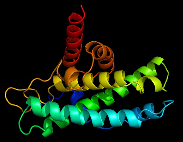 Unlocking the Secrets of Gene Regulation: Revolutionary Tech Maps DNA-Protein Interactions in Single Cells - technology news
